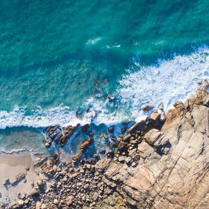 WordPress网站有什么样的优势，为什么使用wordpress建立品牌官网