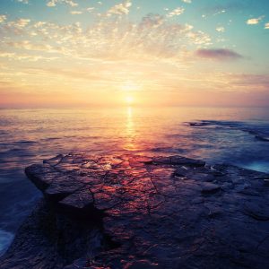 WordPress网站有什么样的优势，为什么使用wordpress建立品牌官网